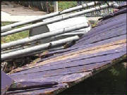 pic3.jpg